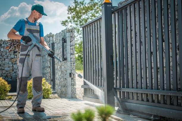 Best Graffiti Removal  in Paramount, CA